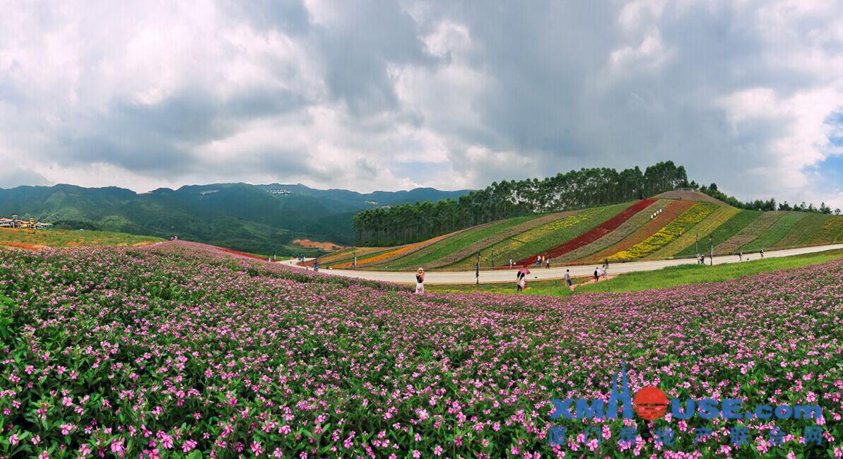 厦门新房 长泰县 > 十里蓝山