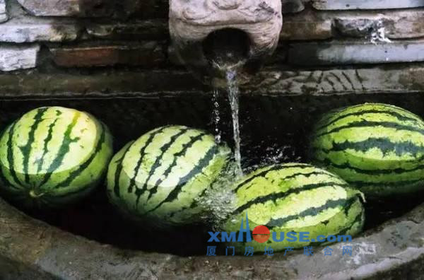 海峡金谷桃李春风:半夏时光 如约而至