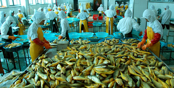 漳州全市今年力争实现农林牧渔业 总产值比增