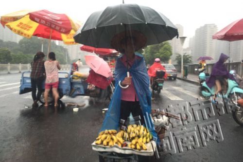 漳州7月24日天气预报 部分县市有中雨局部有大